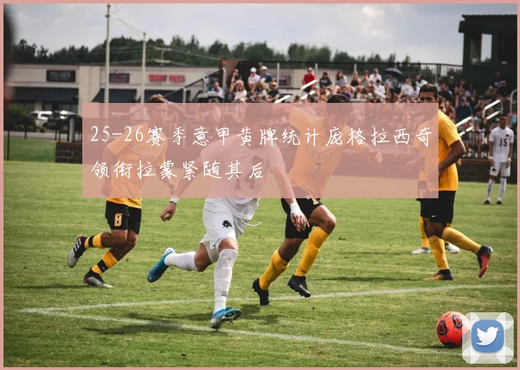 25-26赛季意甲黄牌统计庞格拉西奇领衔拉蒙紧随其后
