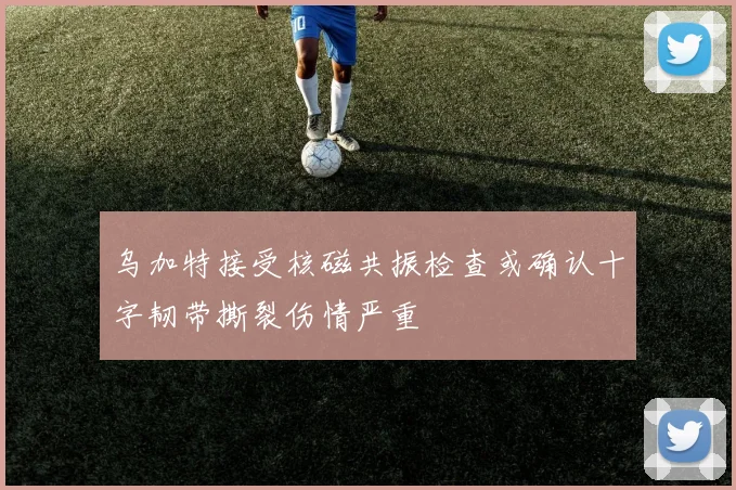 乌加特接受核磁共振检查或确认十字韧带撕裂伤情严重